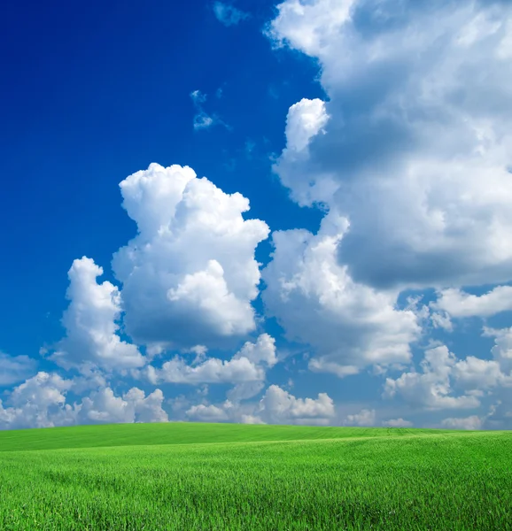 Campo verde e céu — Fotografia de Stock