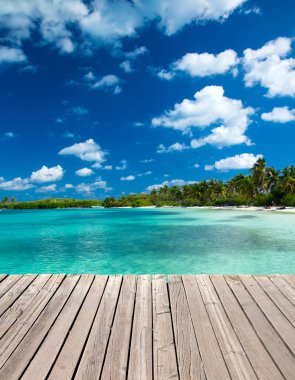 plaj ve tropikal deniz