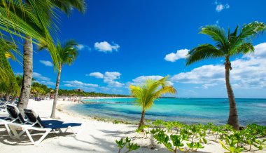 Palmiyeler ve tropik plajlar