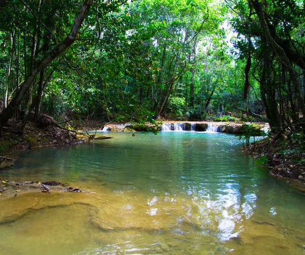 Stream in the tropical forest. — Stock Photo, Image