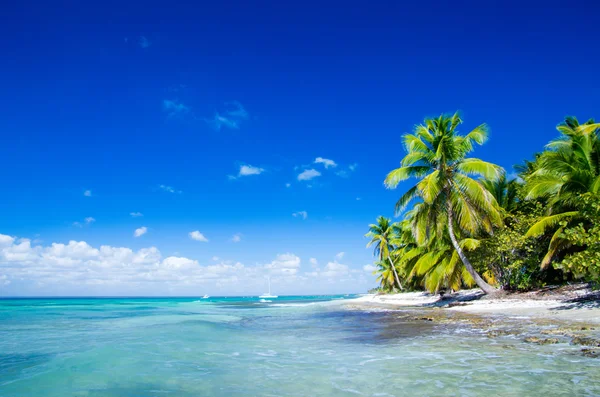 Beautiful tropical sea — Stock Photo, Image