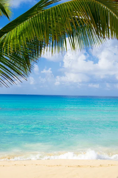 Vackra tropiska havet — Stockfoto