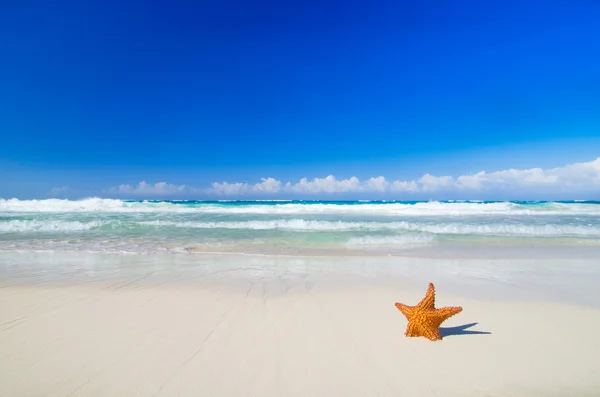 Praia e mar tropical — Fotografia de Stock