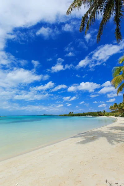 Plage et mer tropicale — Photo