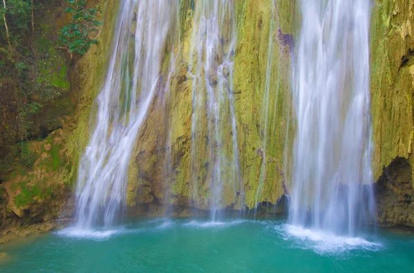 Waterfall in green forest — Stock Photo, Image