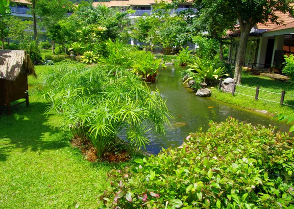Jardim Verde com grama — Fotografia de Stock