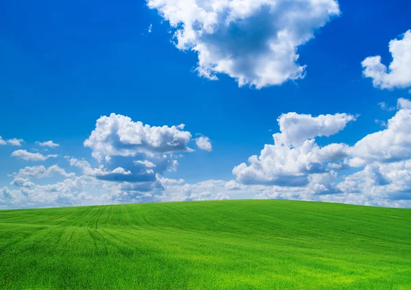 Green field and  sky Stock Picture