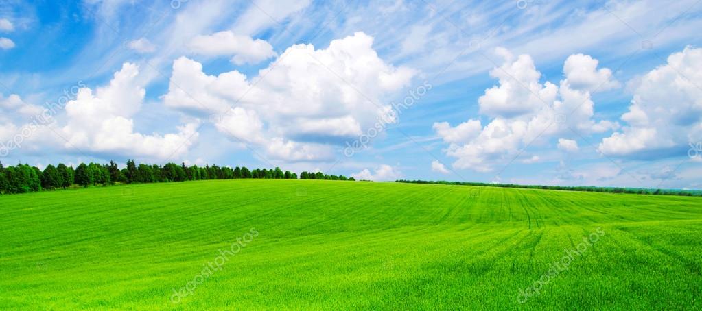 Green field and  sky