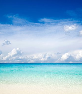 plaj ve tropikal deniz