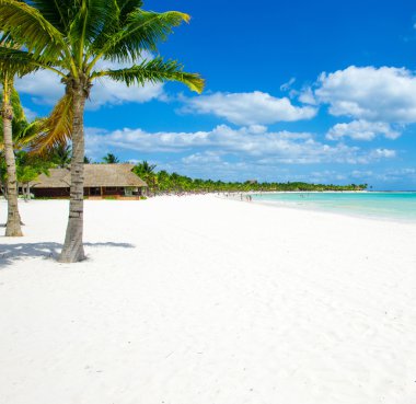 tropikal deniz ve gökyüzü