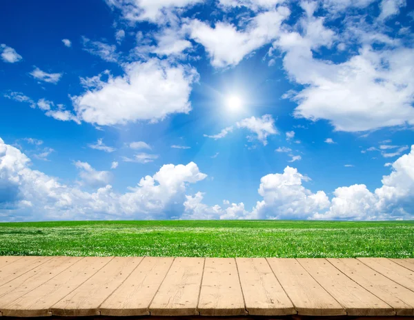Campo verde y cielo — Foto de Stock