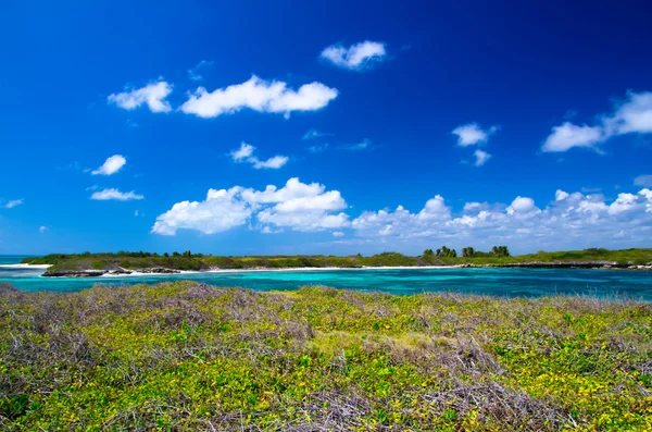 Spiaggia e mare tropicale — Foto Stock