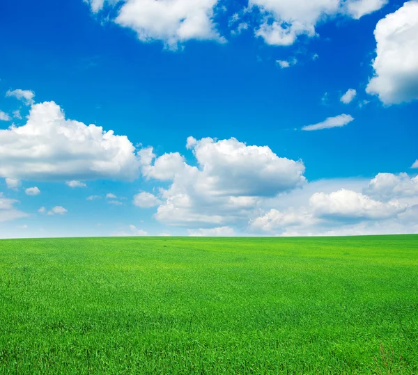 Campo verde e céu — Fotografia de Stock