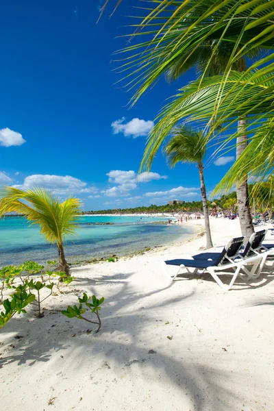 Playa y mar tropical — Foto de Stock