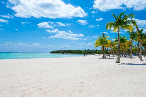 Playa y mar tropical — Foto de Stock