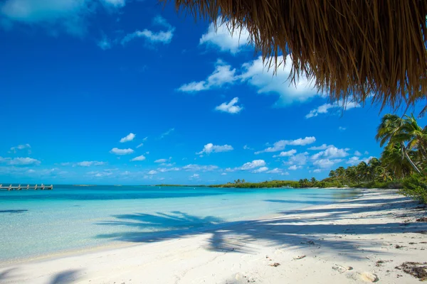 Beach and tropical sea — Stock Photo, Image