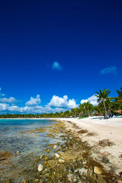 Beach and tropical sea — Stock Photo, Image