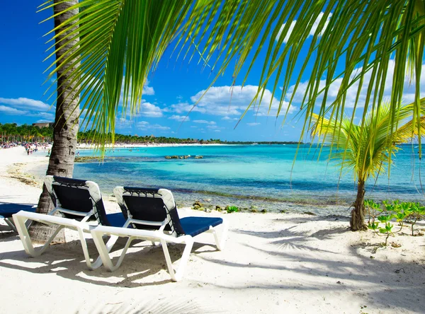 Playa y mar tropical — Foto de Stock