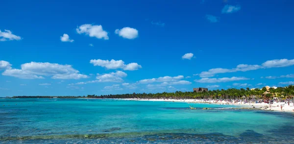 Palm trees and beach — Stock Photo, Image