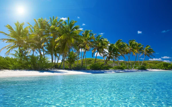 Playa y mar tropical — Foto de Stock