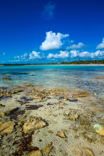 Playa y mar tropical — Foto de Stock