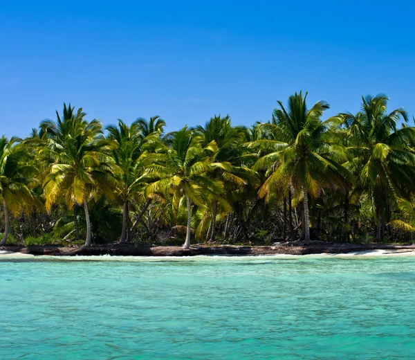 Strand und tropisches Meer — Stockfoto