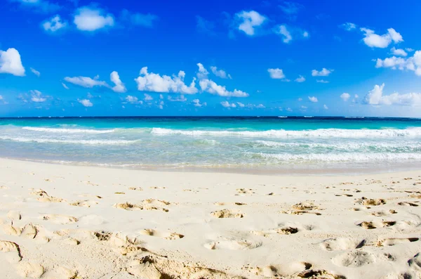 Beach and tropical sea Stock Picture