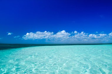 plaj ve tropikal deniz