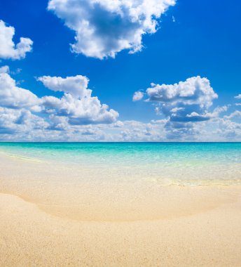 plaj ve tropikal deniz