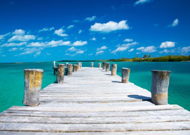 plaj ve tropikal deniz