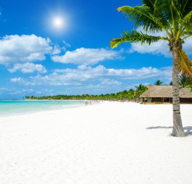 plaj ve tropikal deniz