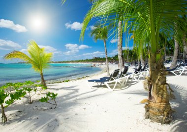 plaj ve tropikal deniz