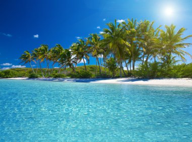 plaj ve tropikal deniz