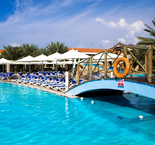 Swimming pool with coconut trees — Stock Photo, Image