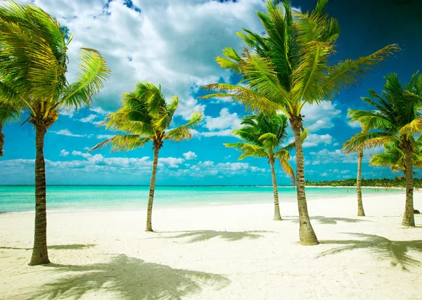 Grunge  tropical beach — Stock Photo, Image