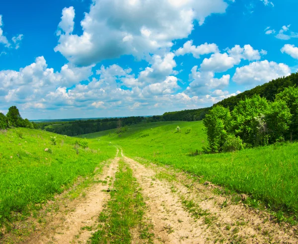 Field with blue sky — Stock Photo, Image