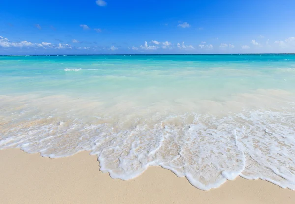 Strand en tropische zee — Stockfoto