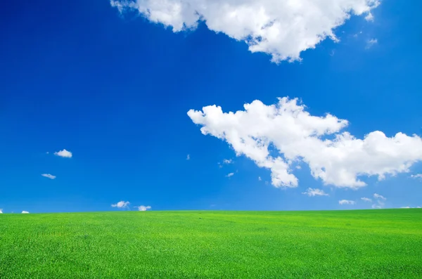 Campo verde e céu azul — Fotografia de Stock