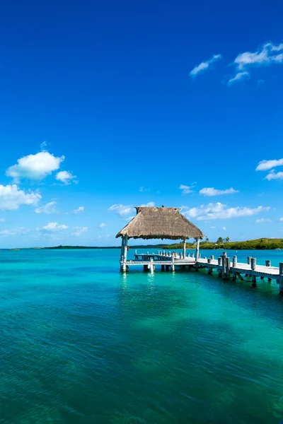 Playa y mar tropical — Foto de Stock