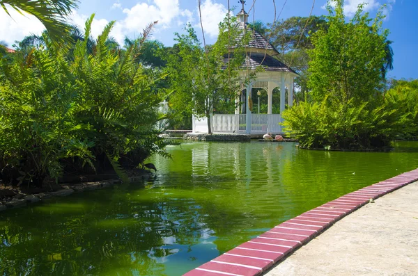 Jardim bonito com grama — Fotografia de Stock