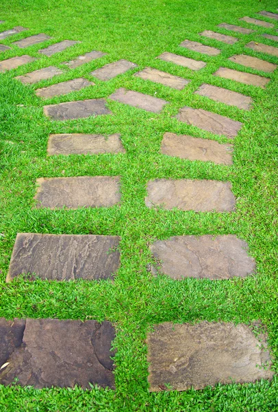 Garden stone path — Stock Photo, Image