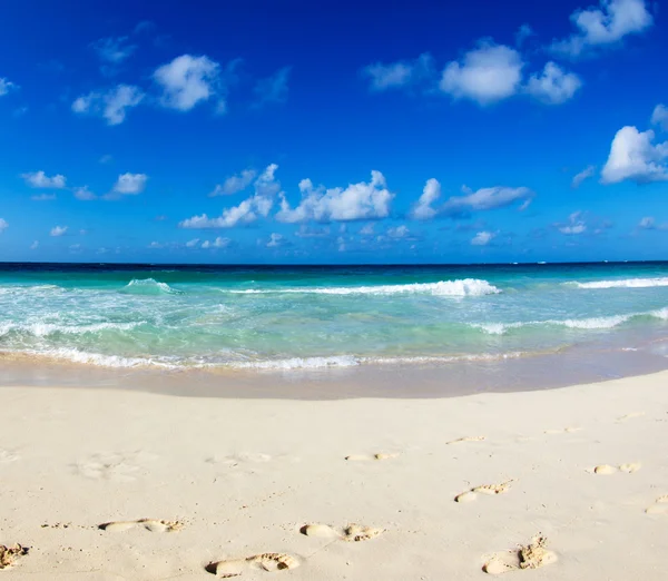 Tropical sea and  sky Stock Picture