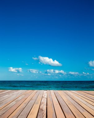 plaj ve tropikal deniz