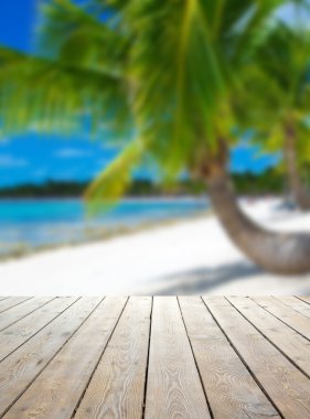 tropikal deniz mavi gökyüzü altında