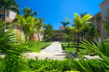 Güzel bahçe çim ile