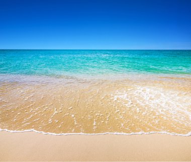 plaj ve tropikal deniz