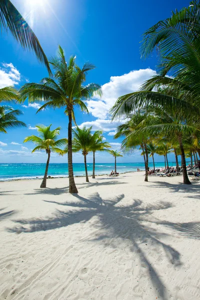 Playa y mar tropical —  Fotos de Stock