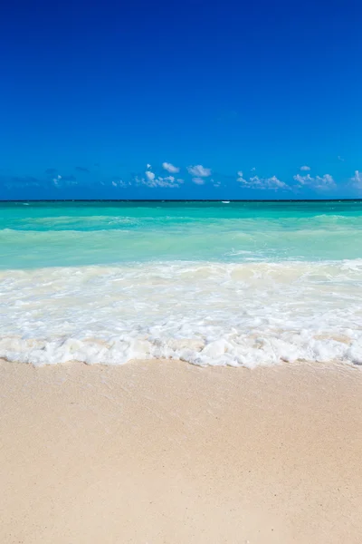 Spiaggia e mare tropicale — Foto Stock