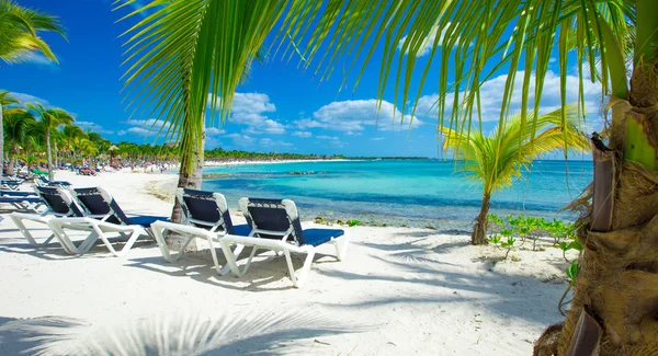 Mare tropicale sotto il cielo blu — Foto Stock