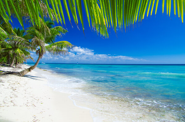 Beach and tropical sea